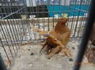 DSC08073
