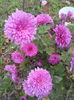 IMG_20151121_080357