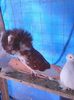 Photo0830