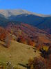 DSC01821