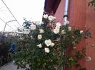 IMG_20151201_125830