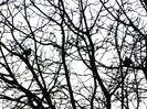 DSCN5057