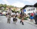 Pleaca Alpinele in Alpi