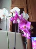IMG_20151203_154221