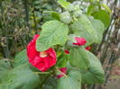 DSCN5123