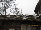 Picture 014