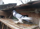 Picture 015