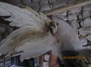 Picture 049