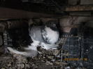 Picture 020
