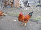 DSCN0048