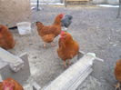 DSCN0056
