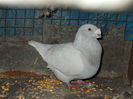 DSCN1052