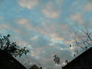 DSCN5205