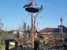20151205_135703