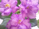 Photo0643