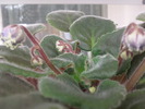 Photo0639