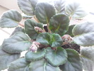 Photo0640