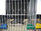 DSCN1158