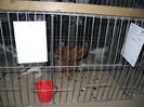 DSCN1192