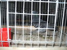 DSCN1202