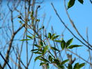 DSCN5403