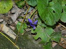 DSCN5438