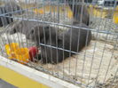 PC050118