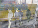 DSCN0515