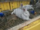 PC050151