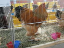 PC050323