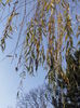 PC050151