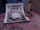 cupa si diploma lugoj 2015 004