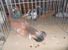DSCN0428