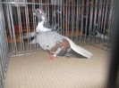 DSCN0430