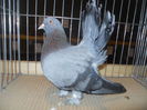 DSCN0431