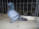 DSCN0437