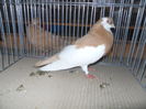 DSCN0438