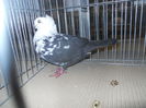DSCN0440