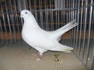 DSCN0444