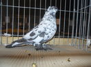 DSCN0448