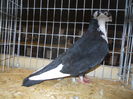 DSCN0449