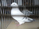DSCN0454