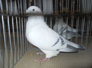 DSCN0455