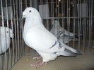 DSCN0456