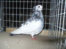 DSCN0459