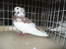 DSCN0460