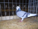 DSCN0465