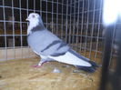 DSCN0466