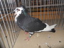 DSCN0469