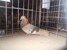 DSCN0533